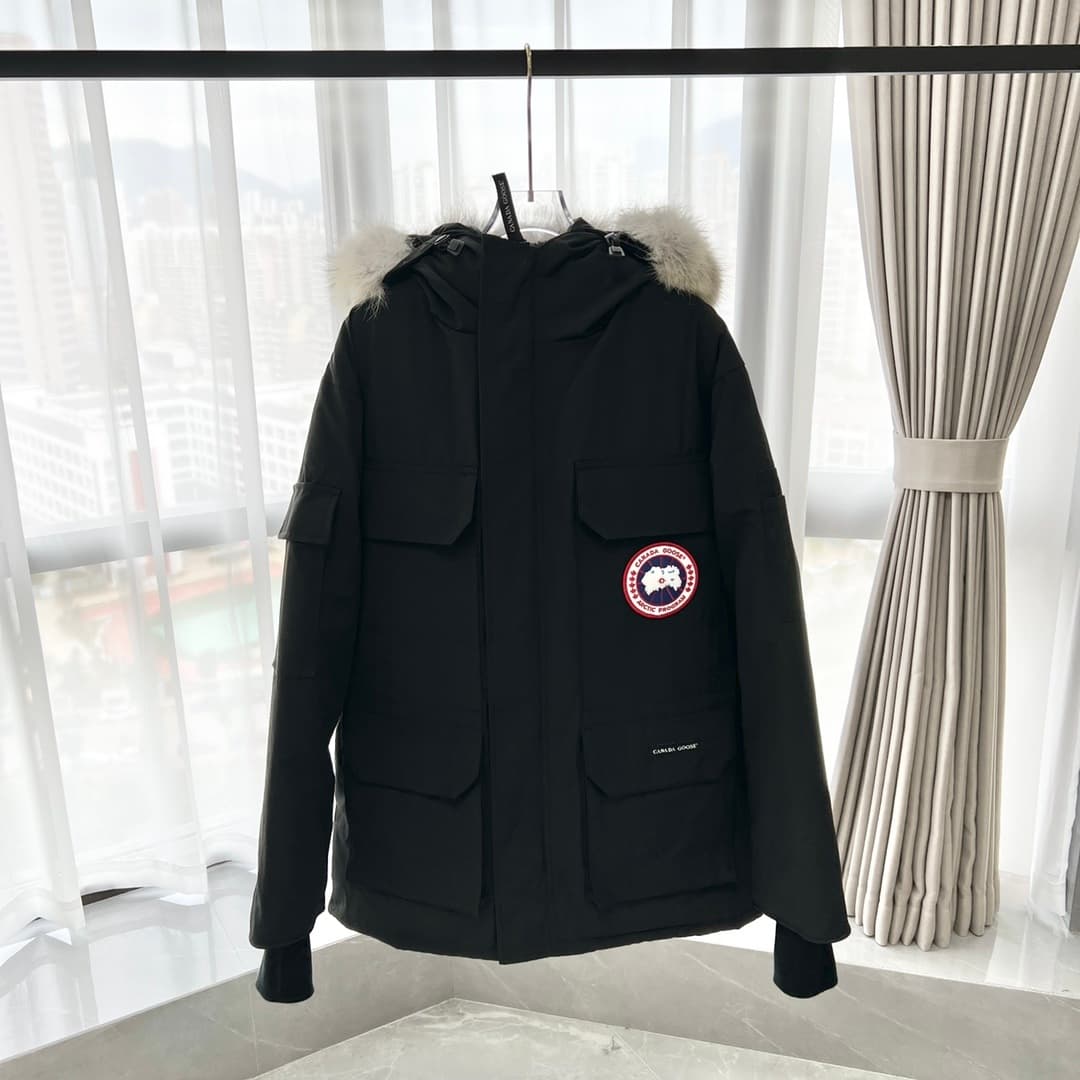 Canada goose