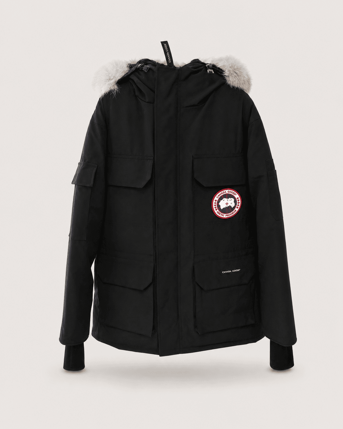 Canada goose